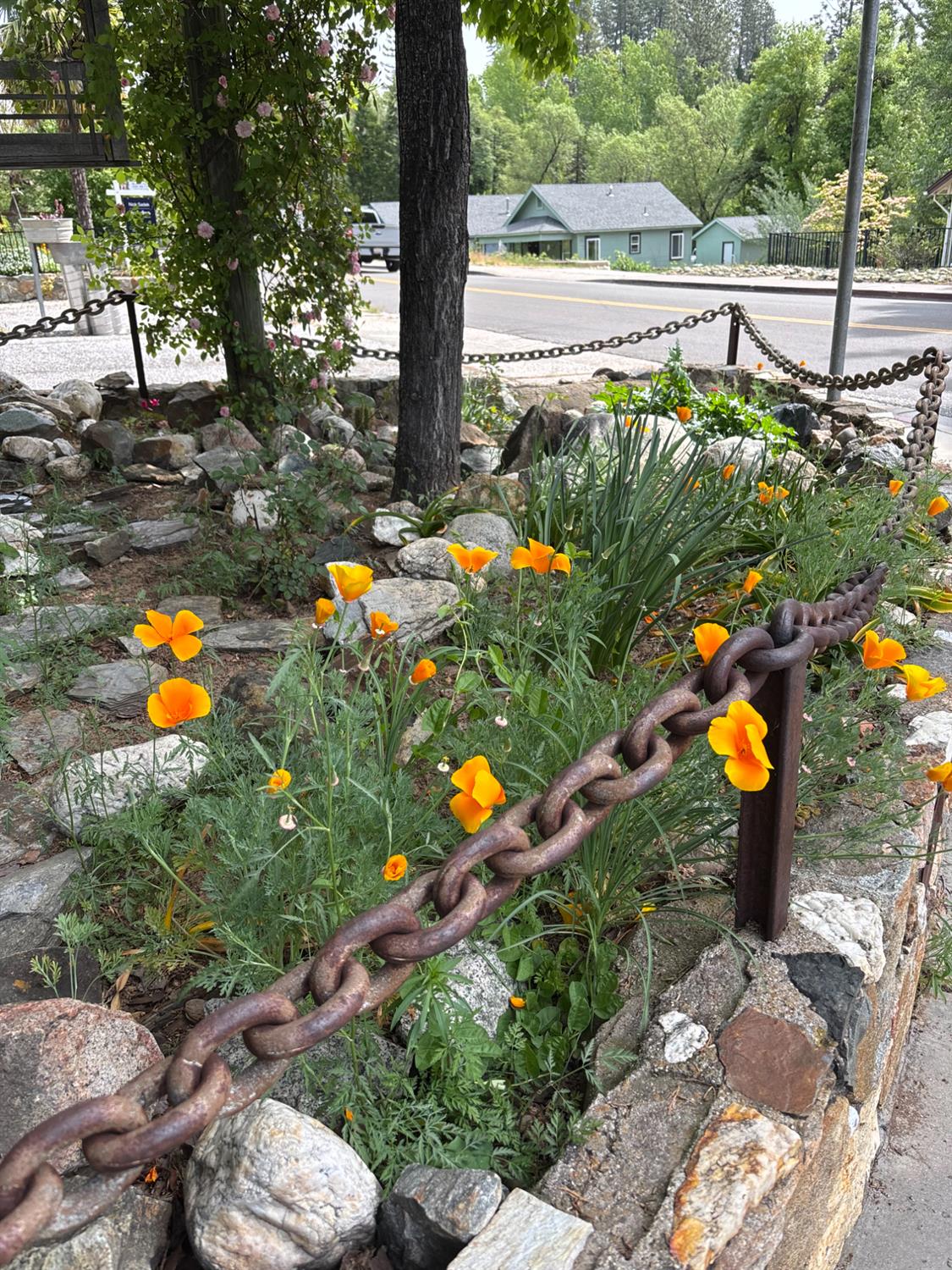 526 Mill Street, Unit 1 Grass Valley, CA 95945 - Photo 48 of 67