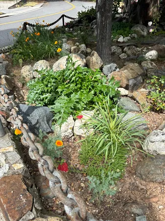 $695,000 | 526 Mill Street, Unit 1, Grass Valley, CA 95945