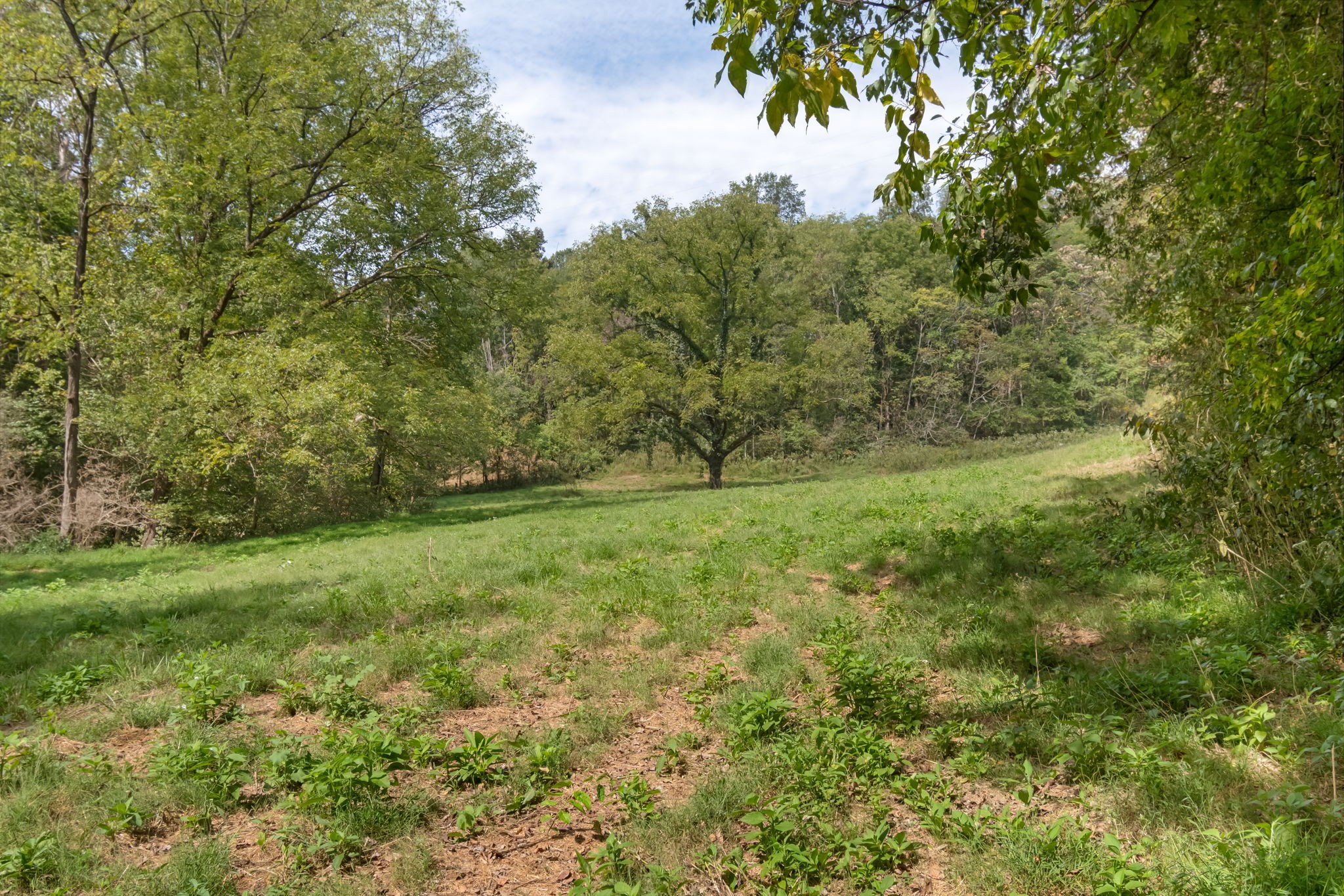 384 Big Spring Hollow Road Pulaski, TN 38478 - Photo 23 of 54 Gallery Image 23