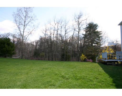 16 Michael Road Wayland, MA 01778 - Photo 3 of 9 a view of a grassy field with trees