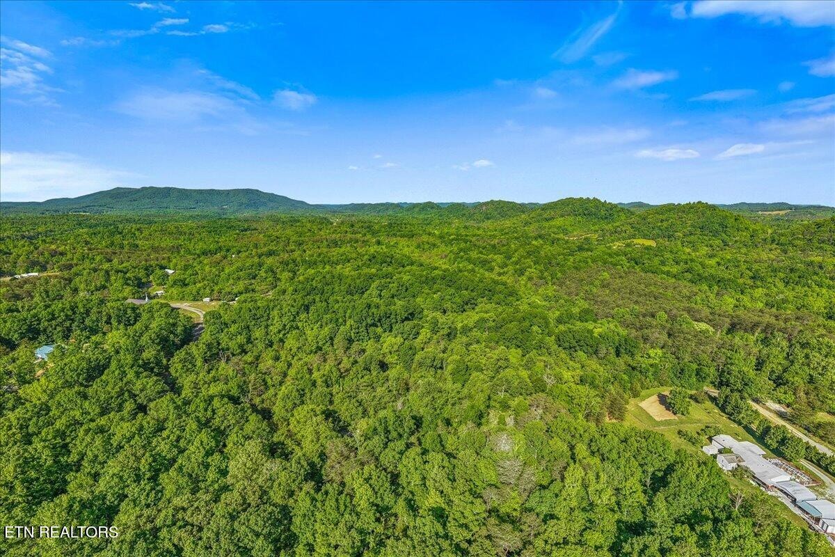 0 Shaddon Road Tellico Plains, TN 37385 - Photo 15 of 17 a view of a lush green outdoor space with a lake view