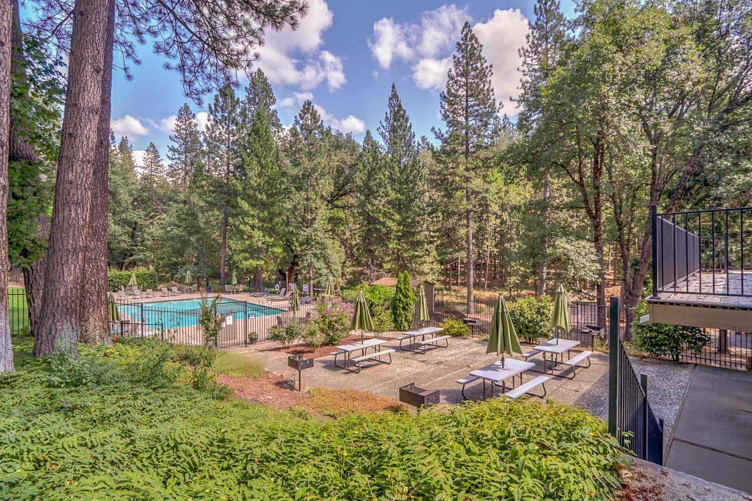 5015 Shooting Star Road Pollock Pines, CA 95726 - Photo 36 of 44 a view of yard with tree