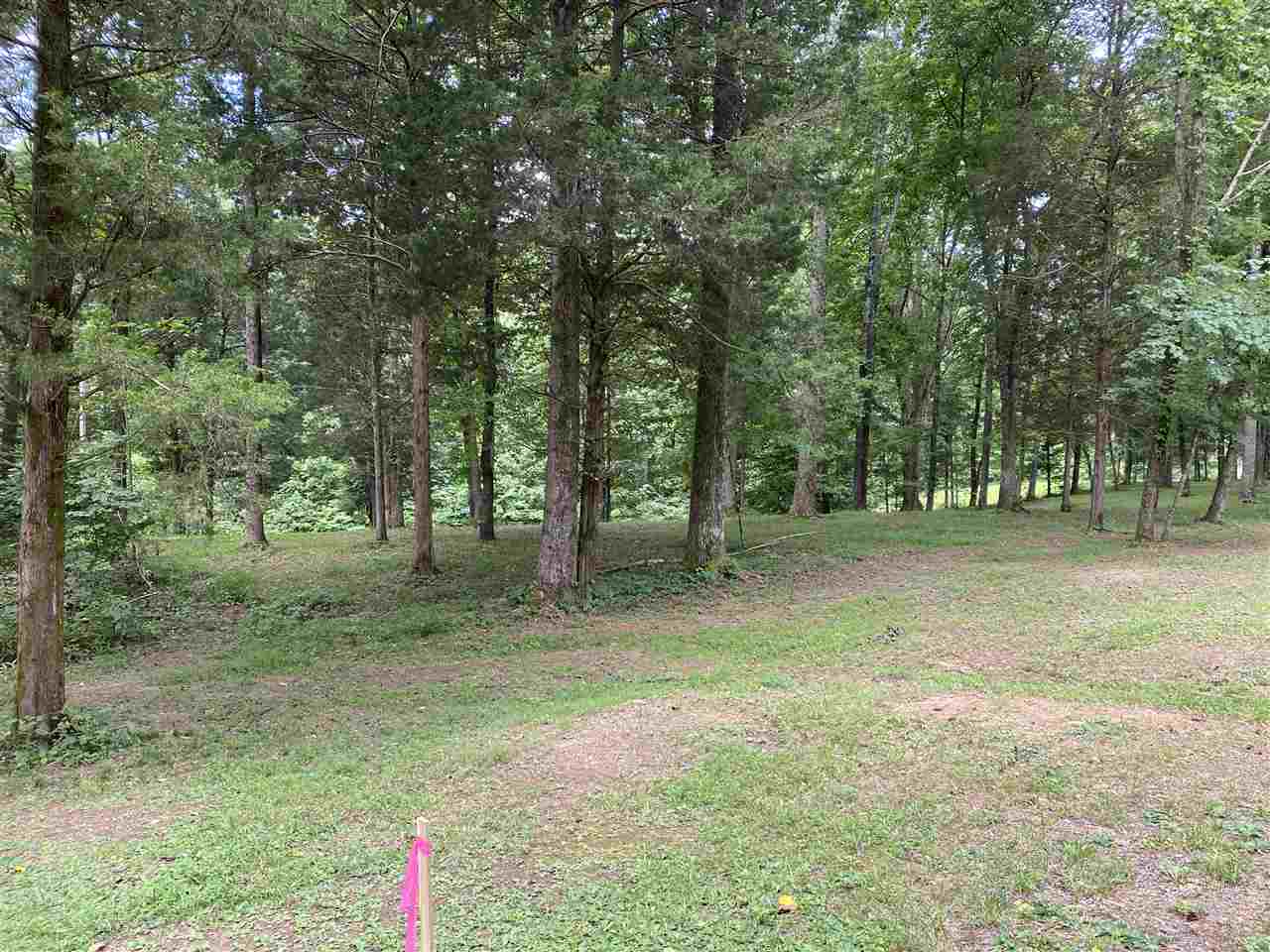 1135 Walkers Chapel Road Adolphus, KY 42120 - Photo 1 of 1 Gallery Image 1
