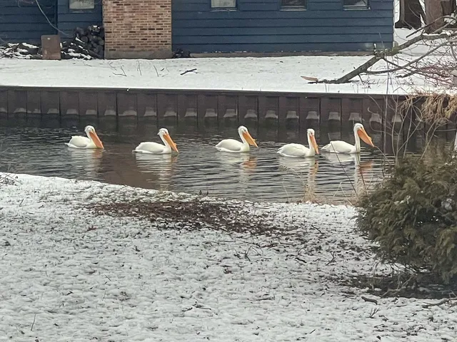 an aerial view of a houses with umbrellas