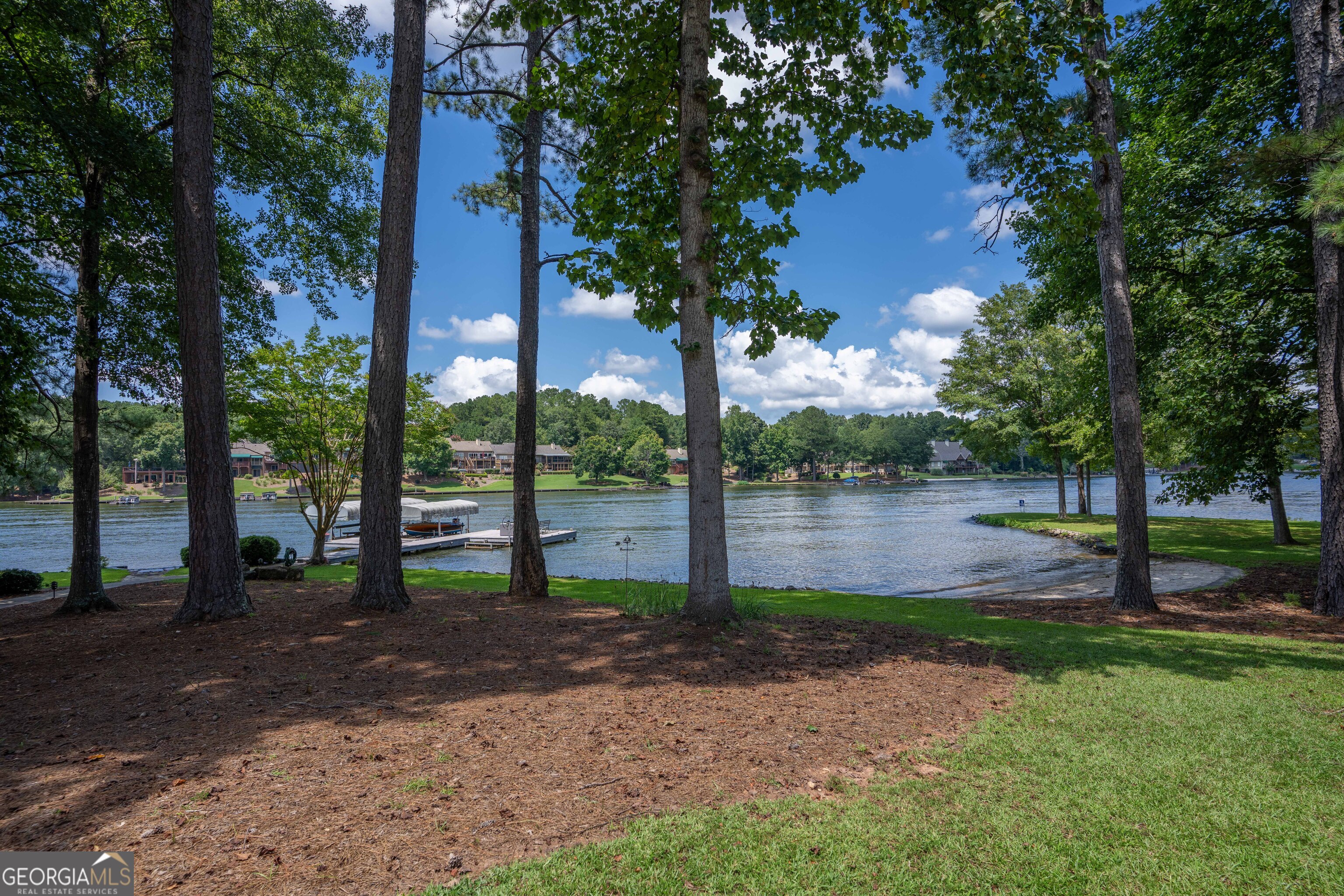 1010 Plum Orchard Road Greensboro, GA 30642 - Photo 75 of 85 a backyard of a house with lots of green space
