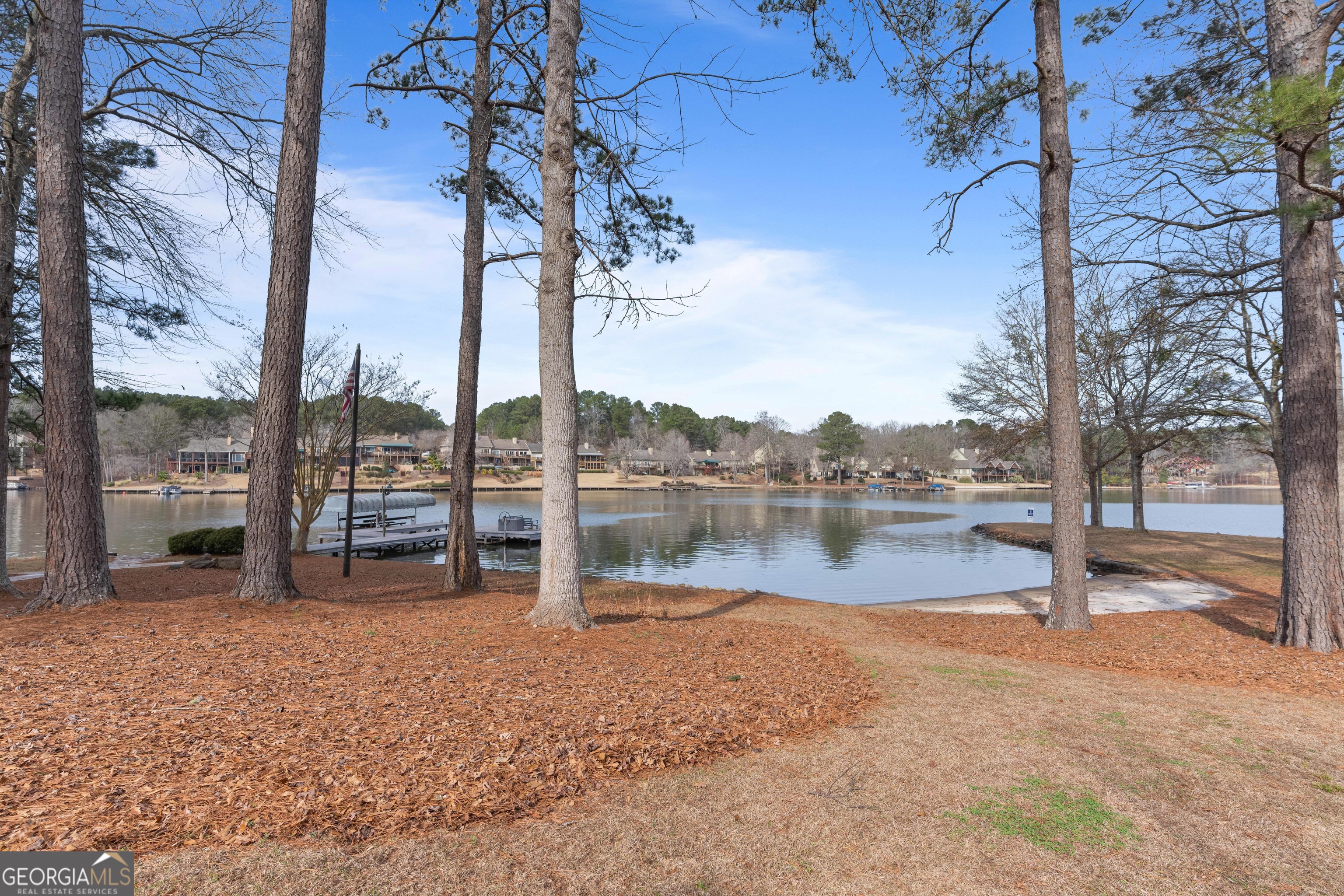 1010 Plum Orchard Road Greensboro, GA 30642 - Photo 79 of 85 a view of lake