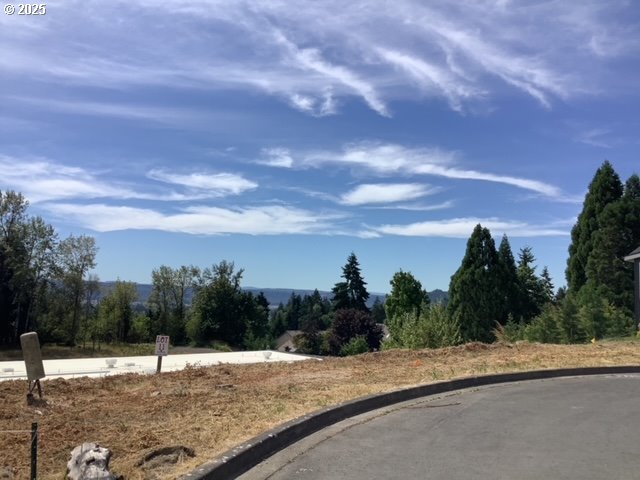 43 Alexia Court Longview, WA 98632 - Photo 2 of 6