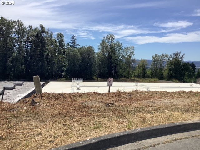 43 Alexia Court Longview, WA 98632 - Photo 3 of 6