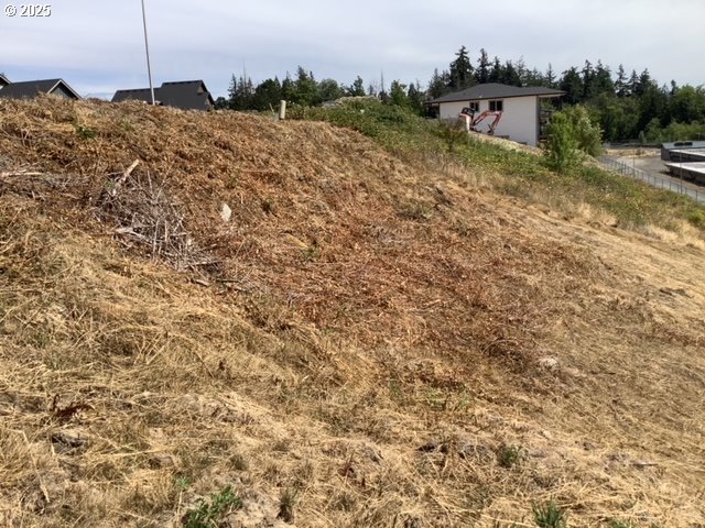 43 Alexia Court Longview, WA 98632 - Photo 5 of 6