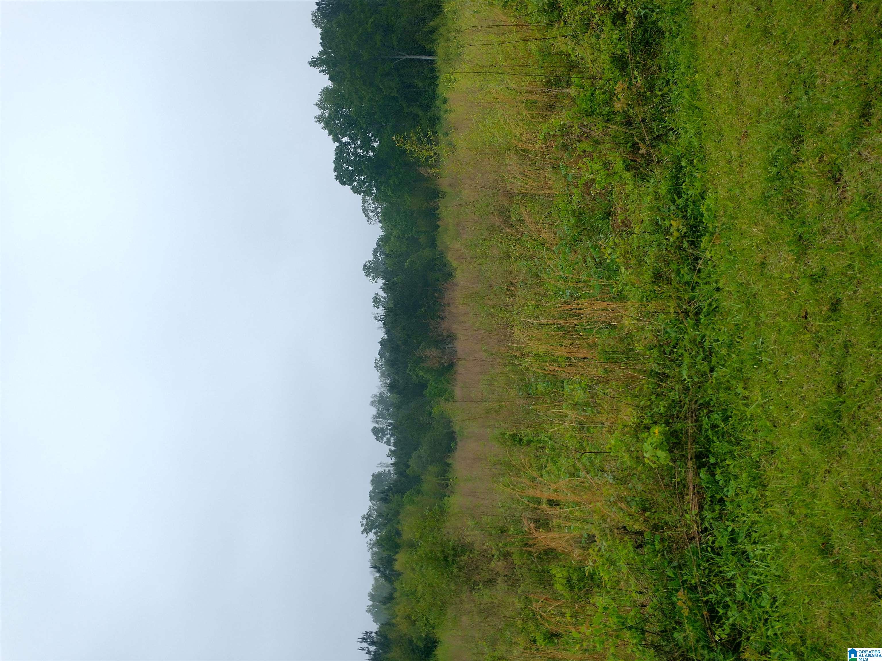 0 Gardner Road, Unit RAW LAND Dadeville, AL 36853 - Photo 4 of 4