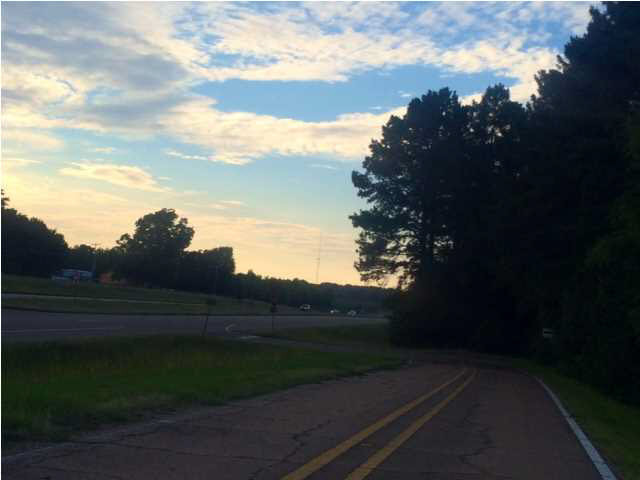 1 Tommy Stubbs Road Magee, MS 39111 - Photo 3 of 7 Photo 3