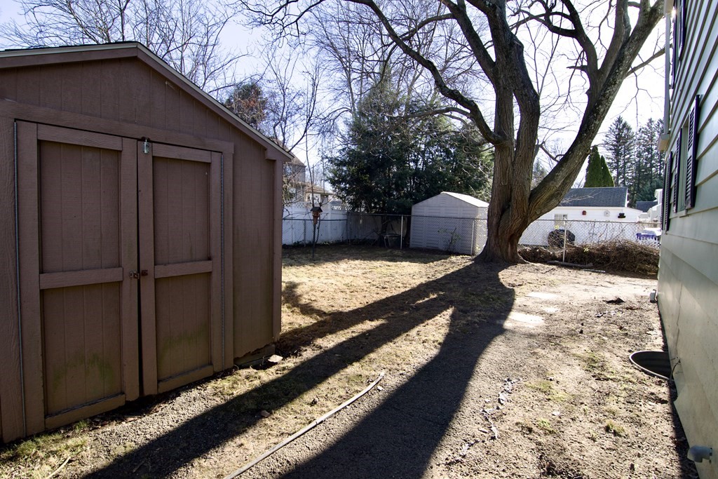 71 Mayflower Road Springfield, MA 01118 - Photo 5 of 42 a view of a backyard with a large tree