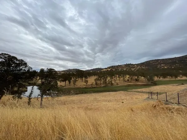 a view of a lake in middle of forest