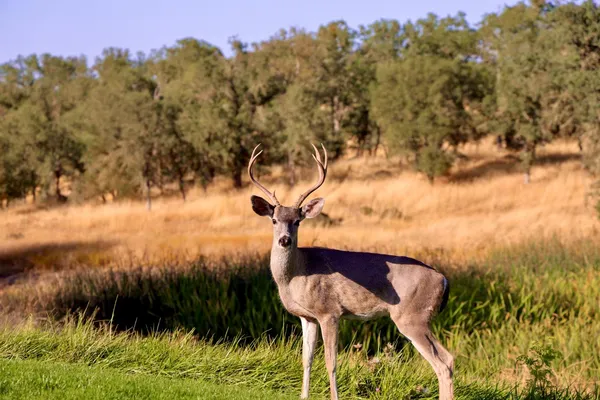 a view of a road with a building in the background