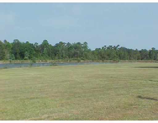 East Robert E Lee Road Lucedale, MS 39452 - Photo 1 of 2 Primary Photo