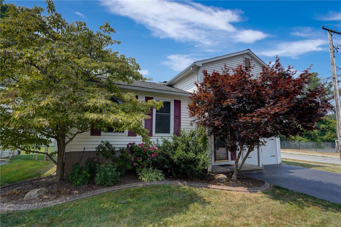 6 Calvin Road Rochester, NY 14612 - Photo 3 of 41