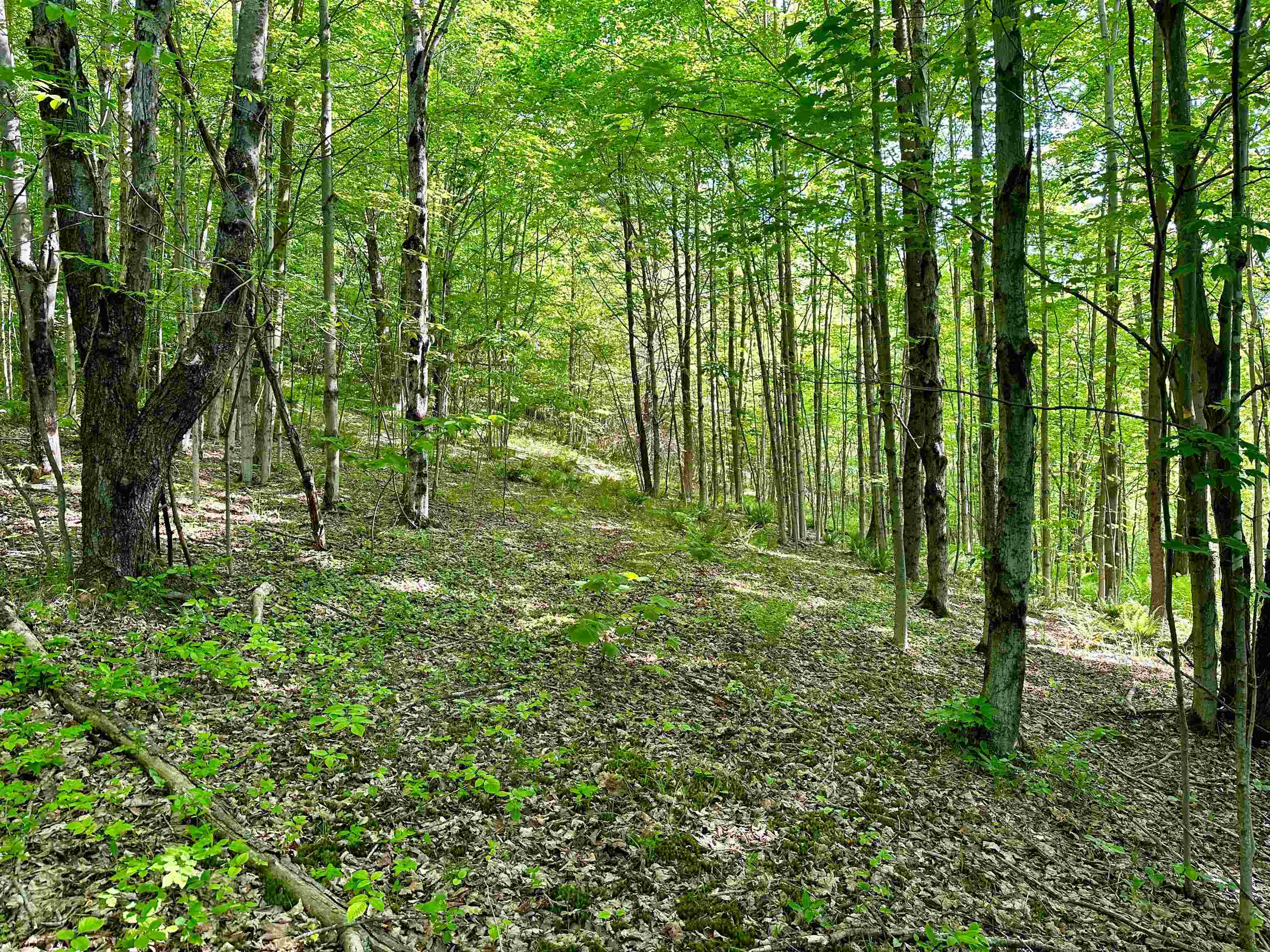 567 Little Village Road Danby, VT 05761 - Photo 1 of 7 Gallery Image 1