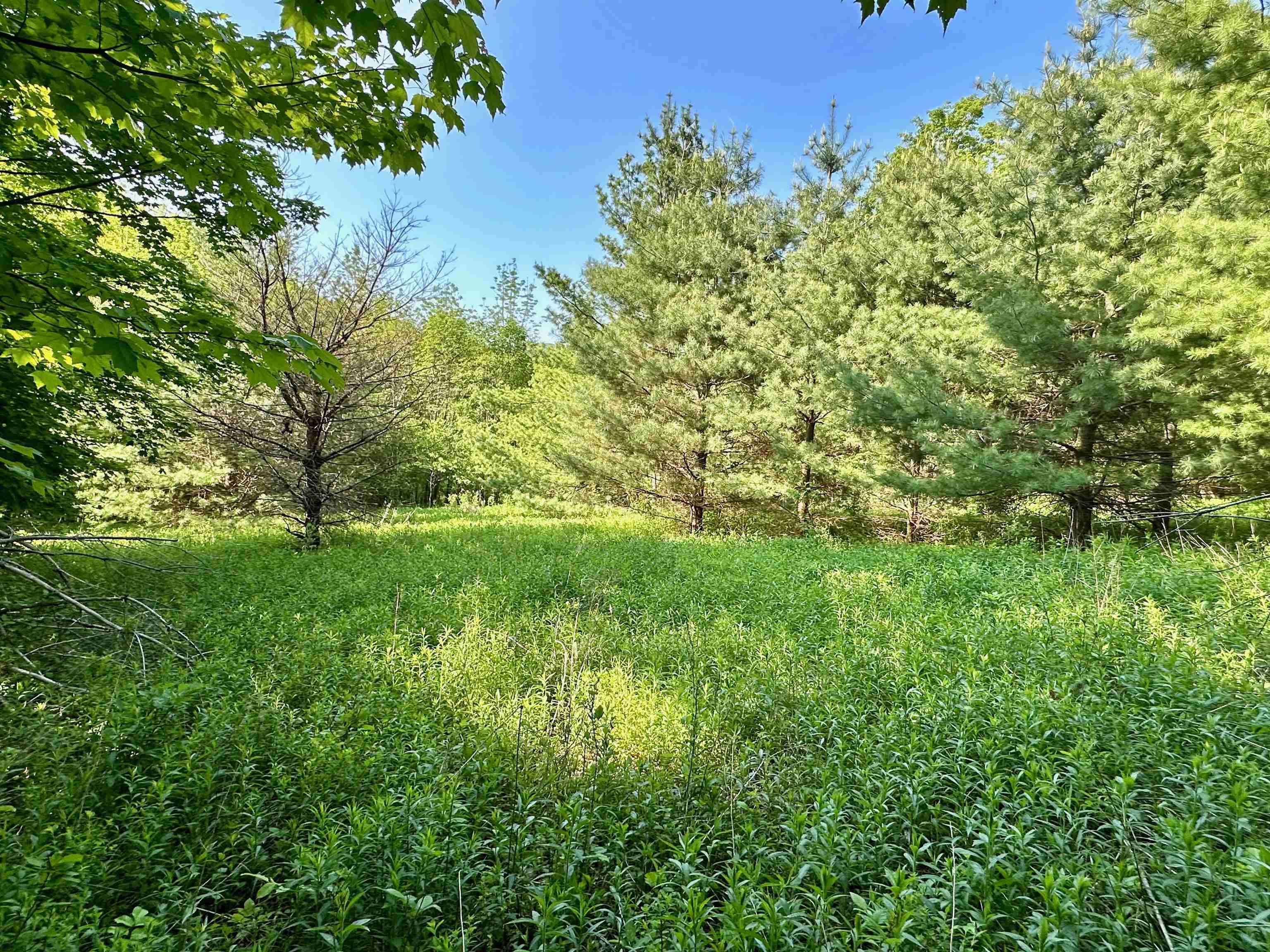 567 Little Village Road Danby, VT 05761 - Photo 2 of 7 Gallery Image 2