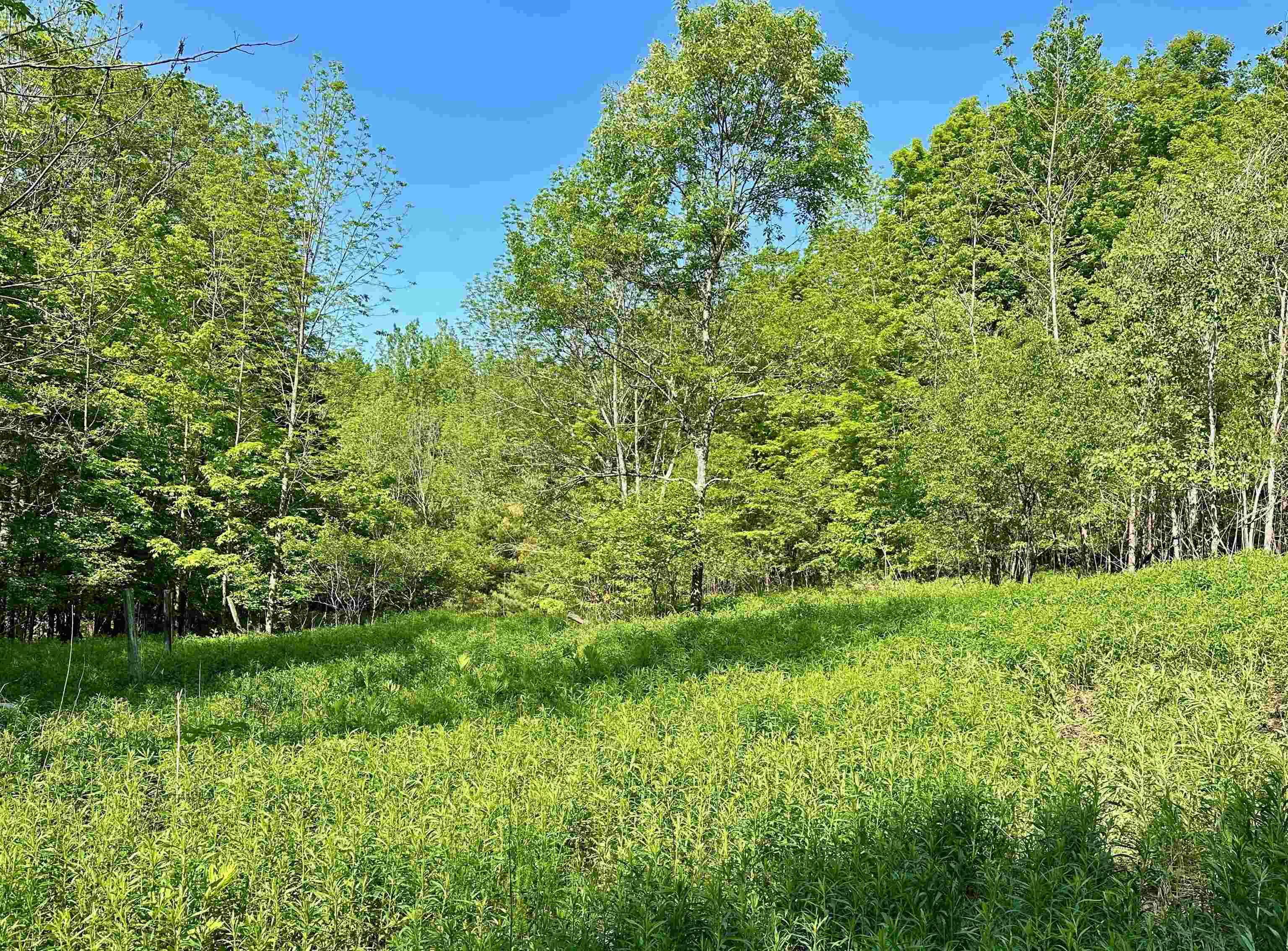 567 Little Village Road Danby, VT 05761 - Photo 3 of 7 Gallery Image 3