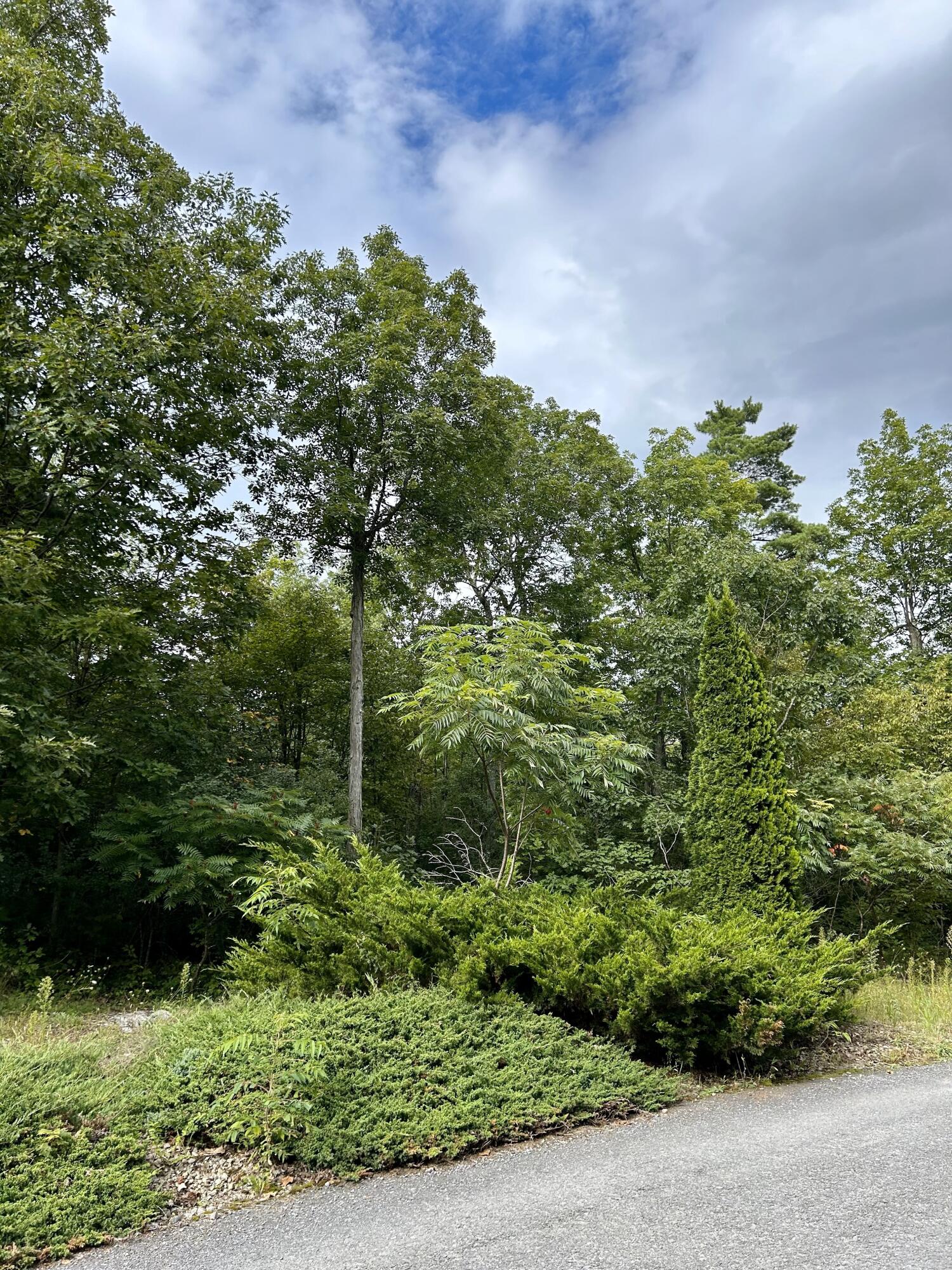 0 Bluff Point Drive Plattsburgh, NY 12901 - Photo 15 of 21 17