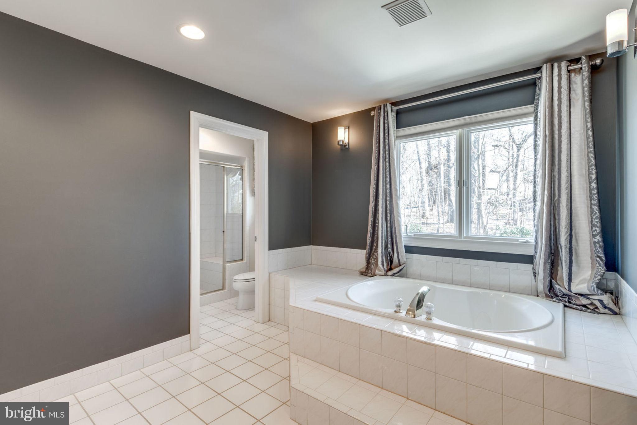 12029 Creekbend Drive Reston, VA 20194 - Photo 24 of 47 Spacious Master Bath