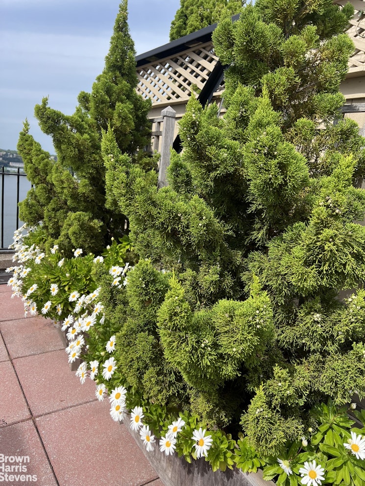 140 Riverside Drive, Unit 5K Manhattan, NY 10024 - Photo 13 of 16 a plant that is in a garden