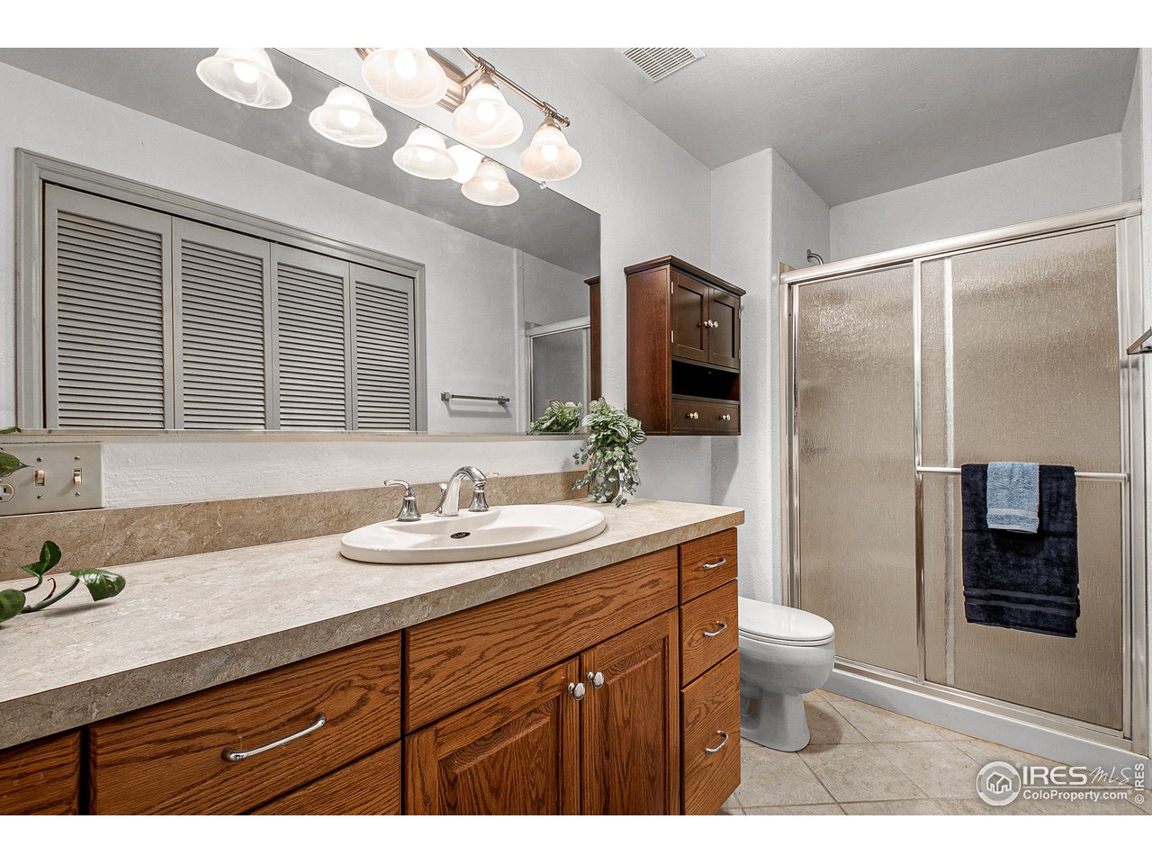 106 Bothun Road Berthoud, CO 80513 - Photo 26 of 40 Primary Bath