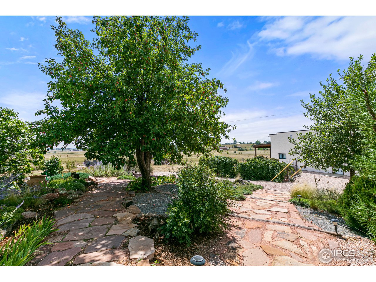 106 Bothun Road Berthoud, CO 80513 - Photo 31 of 40 Lavish Landscaping