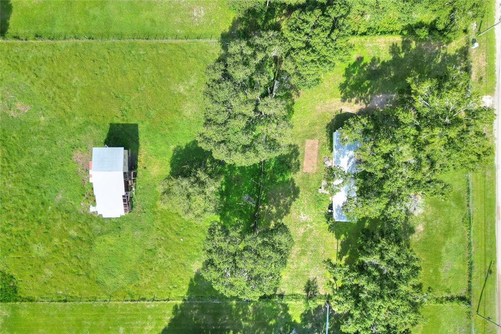 12552 Farmettes Road Lakeland, FL 33809 - Photo 2 of 43 a close up of a plant in a garden