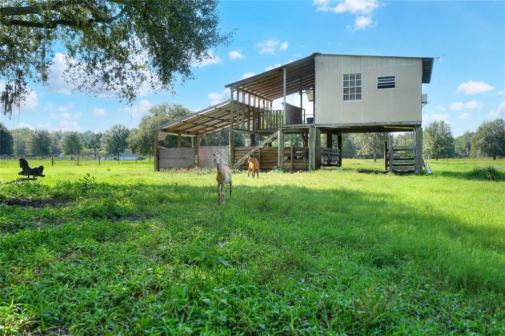 12552 Farmettes Road Lakeland, FL 33809 - Photo 24 of 43 a view of a house with a backyard