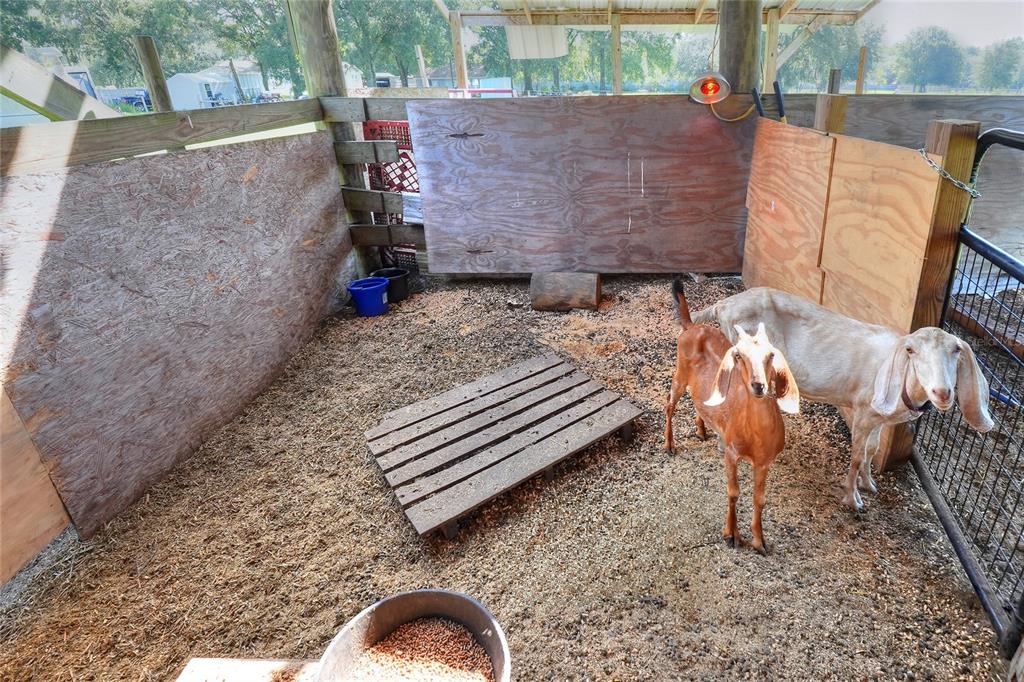 12552 Farmettes Road Lakeland, FL 33809 - Photo 27 of 43