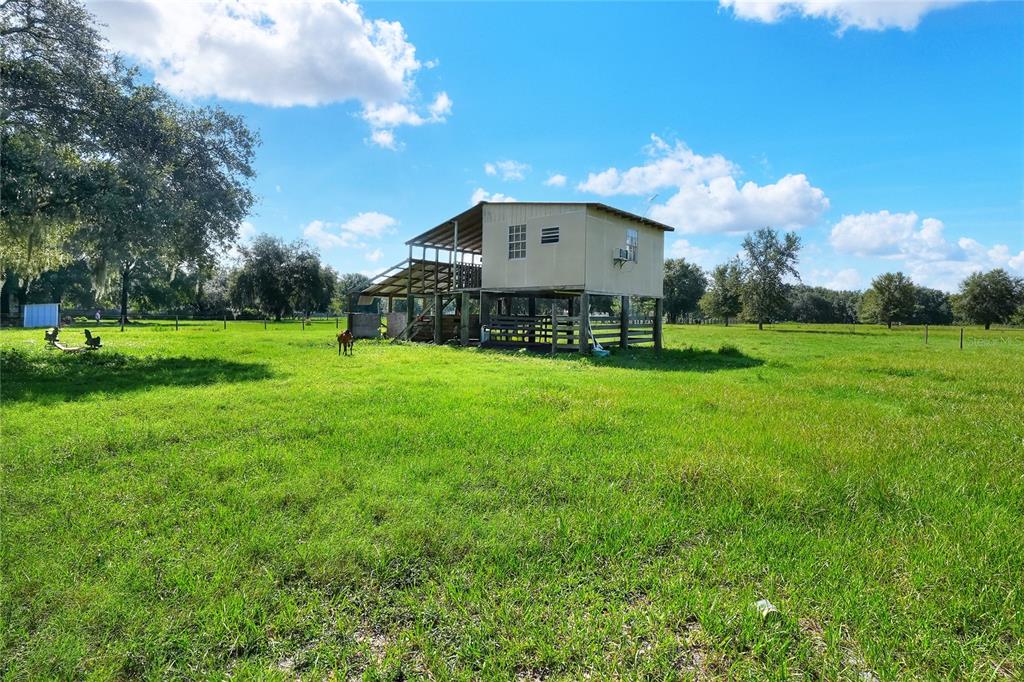 12552 Farmettes Road Lakeland, FL 33809 - Photo 31 of 43 a view of a house with a big yard and a large tree