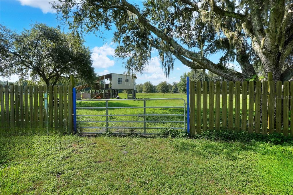 12552 Farmettes Road Lakeland, FL 33809 - Photo 35 of 43 a view of a park with large trees
