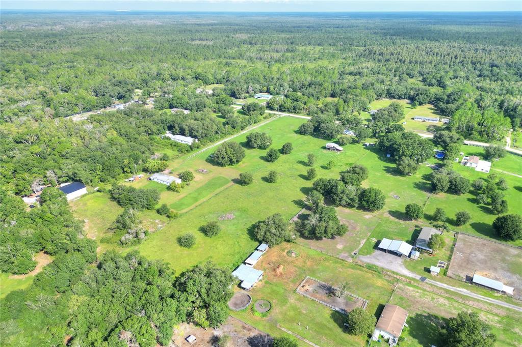 12552 Farmettes Road Lakeland, FL 33809 - Photo 41 of 43 a view of a garden with a building in the back