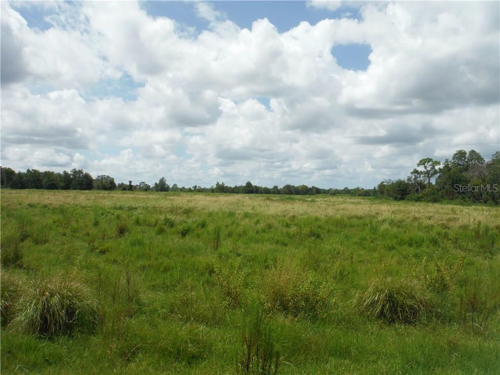 0 Andrews Road Wimauma, FL 33598 - Photo 1 of 1 Gallery Image 1