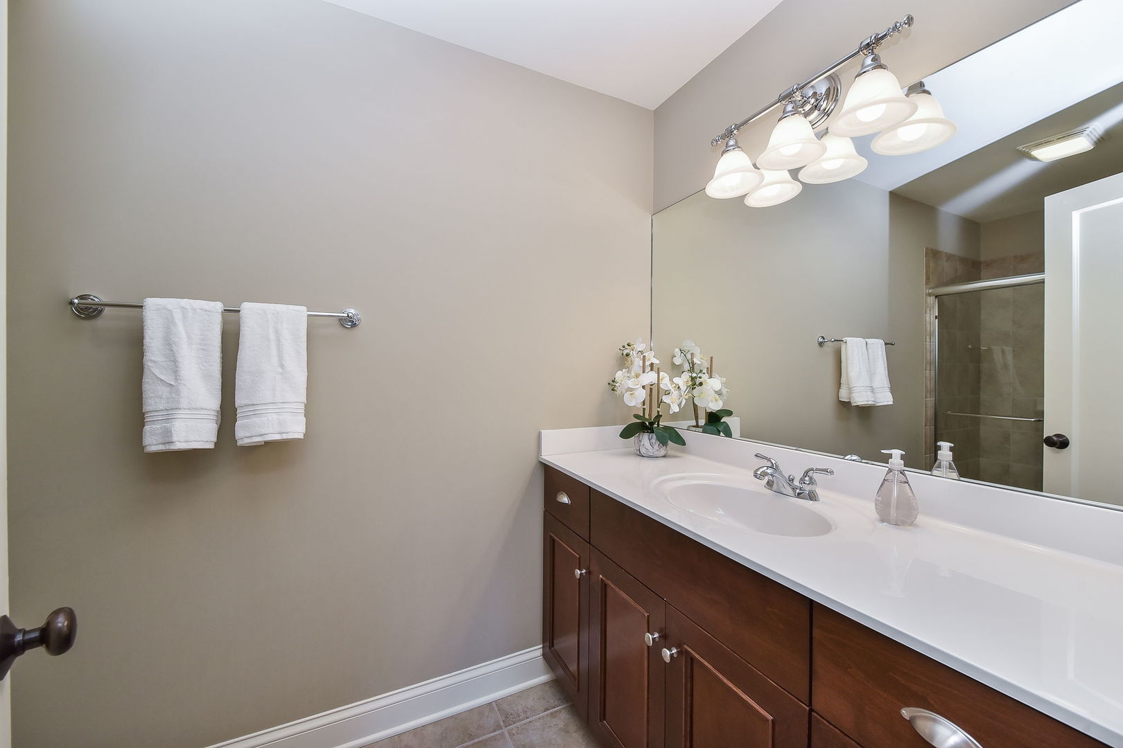 427 Ranch Road Wheaton, IL 60187 - Photo 23 of 38 a bathroom with a sink vanity and mirror