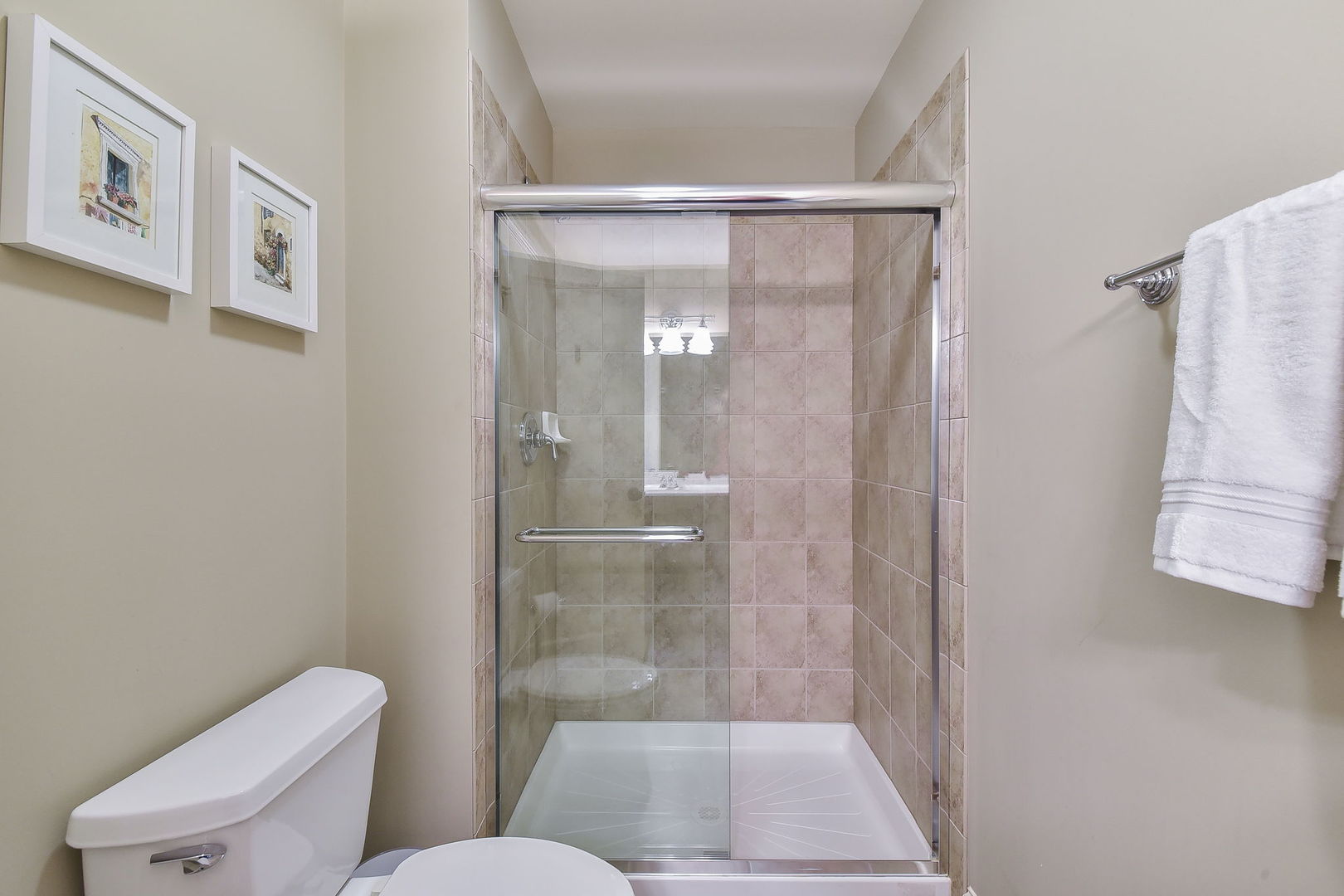 427 Ranch Road Wheaton, IL 60187 - Photo 24 of 38 a bathroom with a toilet and a shower