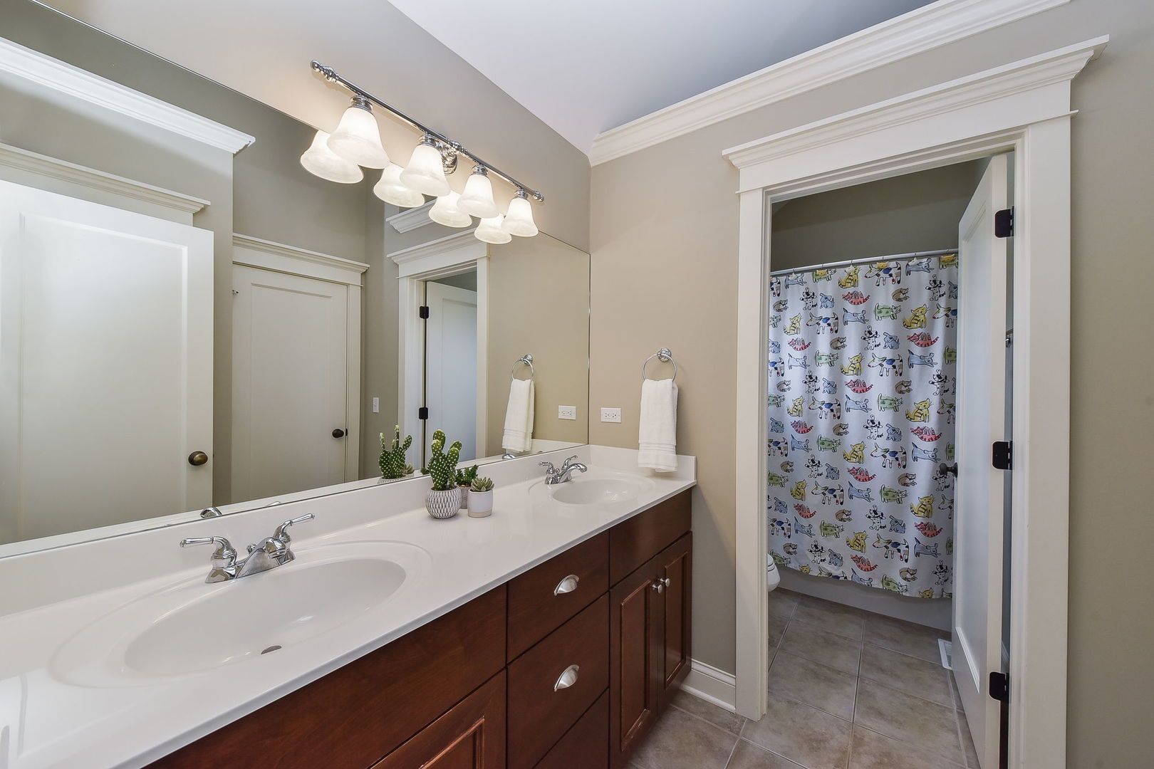 427 Ranch Road Wheaton, IL 60187 - Photo 26 of 38 a bathroom with a double vanity sink mirror and double