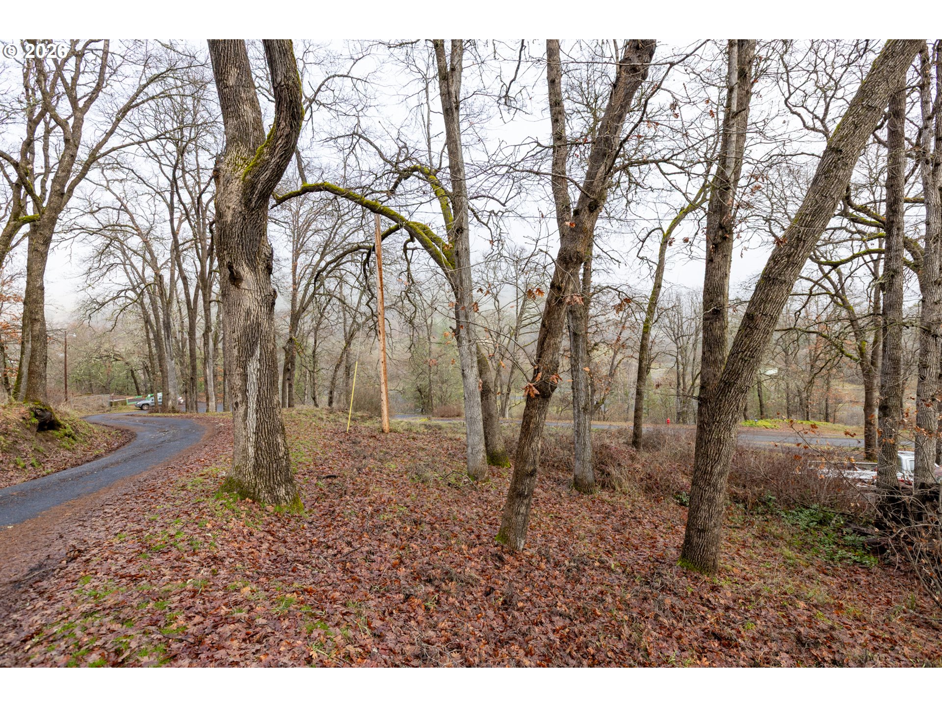 108 Loop Drive Klickitat, WA 98628 - Photo 12 of 13