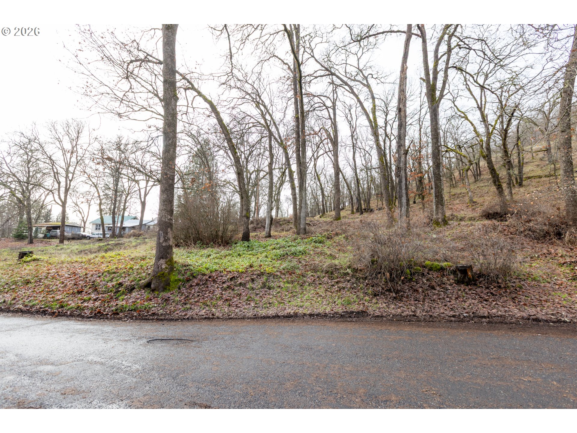 108 Loop Drive Klickitat, WA 98628 - Photo 8 of 13