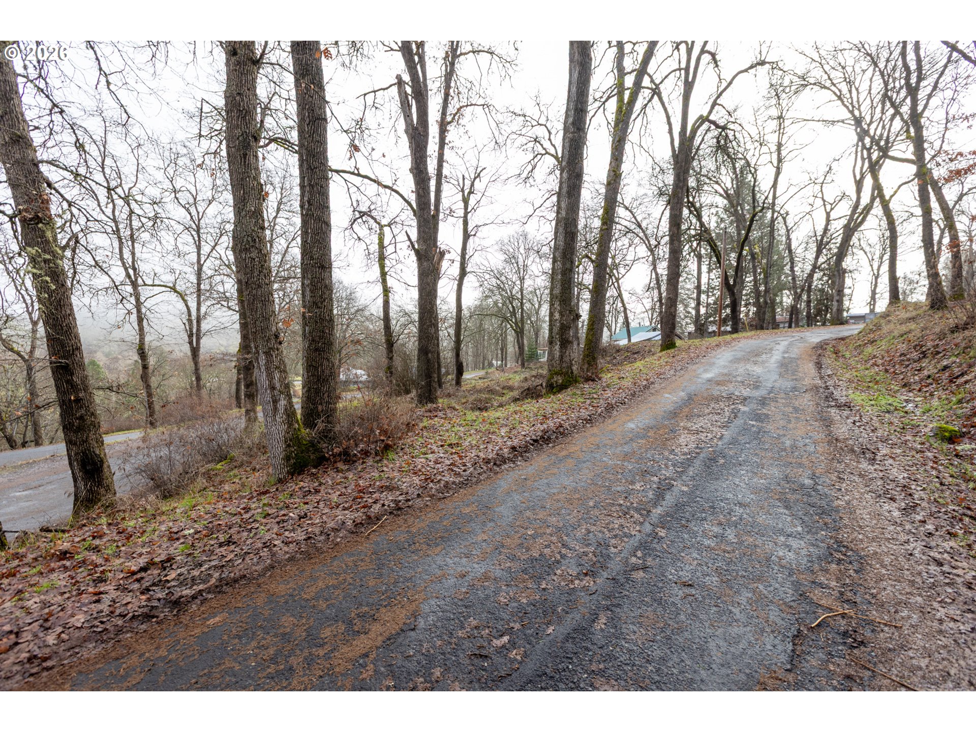 108 Loop Drive Klickitat, WA 98628 - Photo 9 of 13