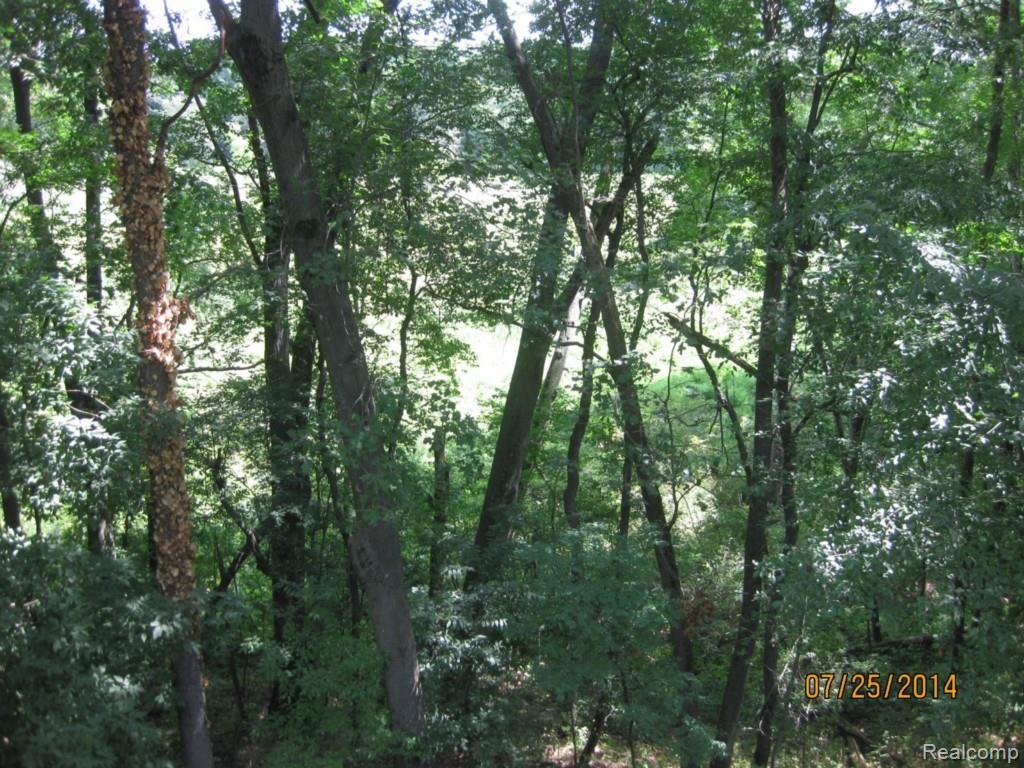 4750 Brookside Road Fenton, MI 48430 - Photo 21 of 22 021.jpg