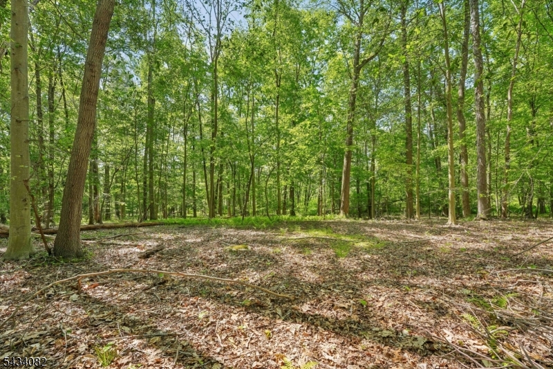 0 Homestead Road Gillette, NJ 07933 - Photo 7 of 26