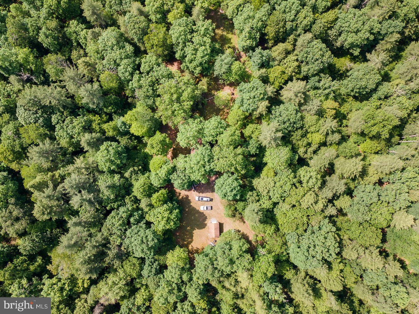1499 Buggy Ridge Road Mount Jackson, VA 22842 - Photo 3 of 39 Remote cabin