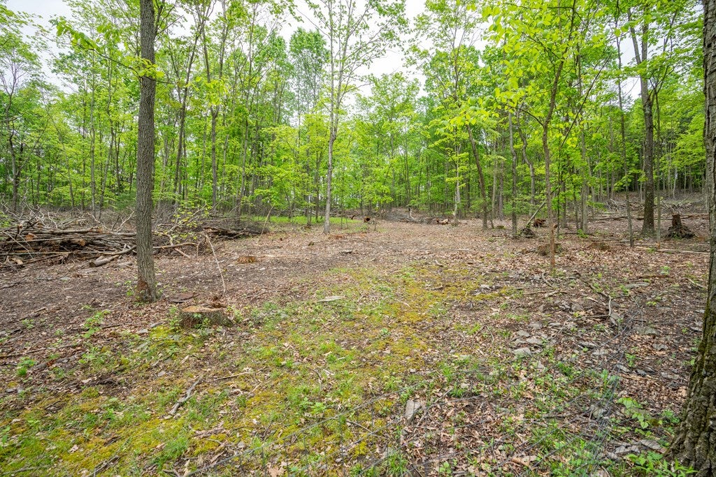 17067 Smith Valley Road Mapleton Depot, PA 17052 - Photo 43 of 54 Gallery Image 43