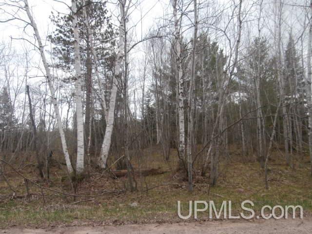 39.30-ac Armstrong Lake Road Crystal Falls, MI 49920 - Photo 8 of 24