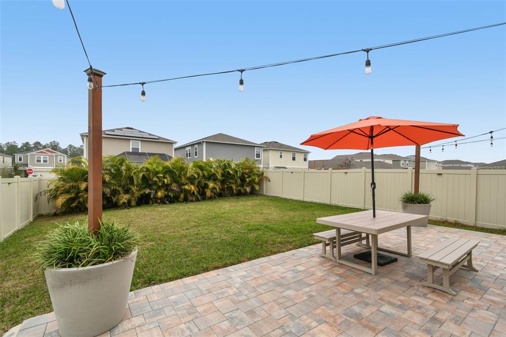 34245 Verbena Street Wesley Chapel, FL 33545 - Photo 15 of 44