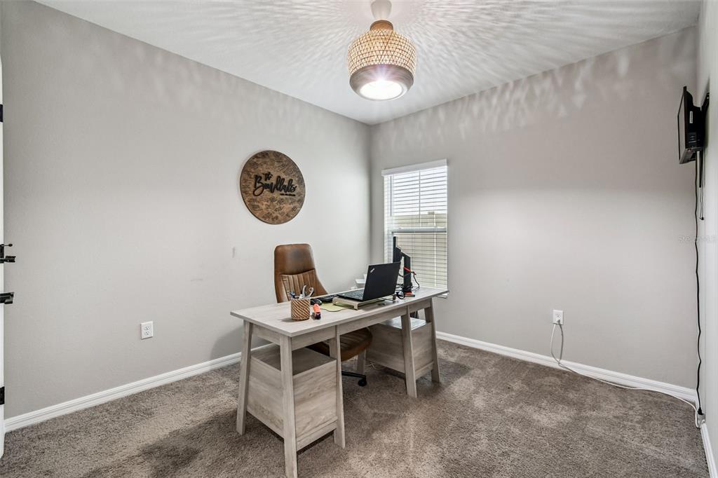 34245 Verbena Street Wesley Chapel, FL 33545 - Photo 17 of 44