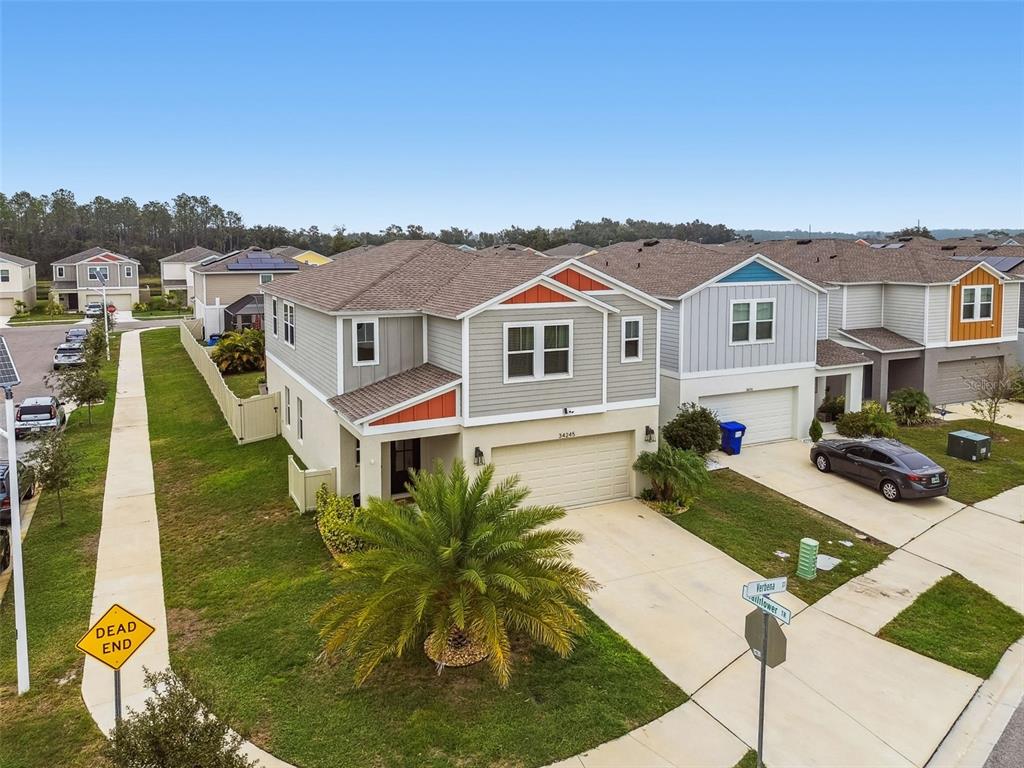 34245 Verbena Street Wesley Chapel, FL 33545 - Photo 2 of 44
