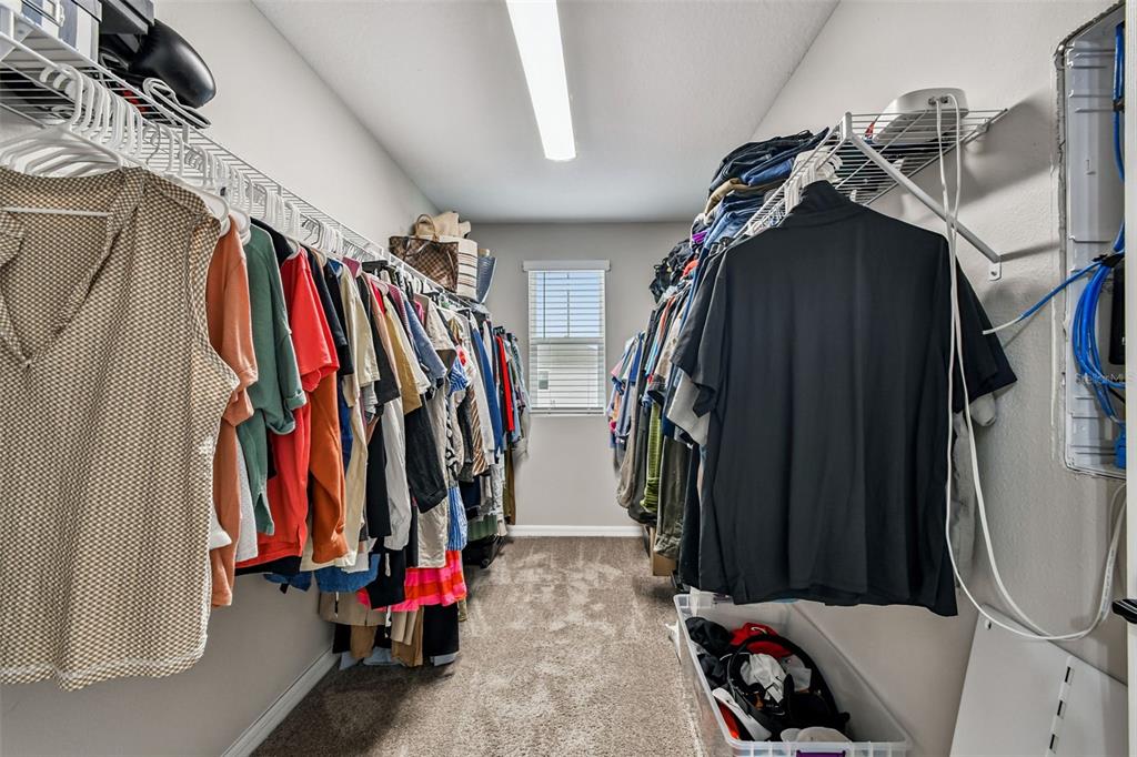 34245 Verbena Street Wesley Chapel, FL 33545 - Photo 28 of 44